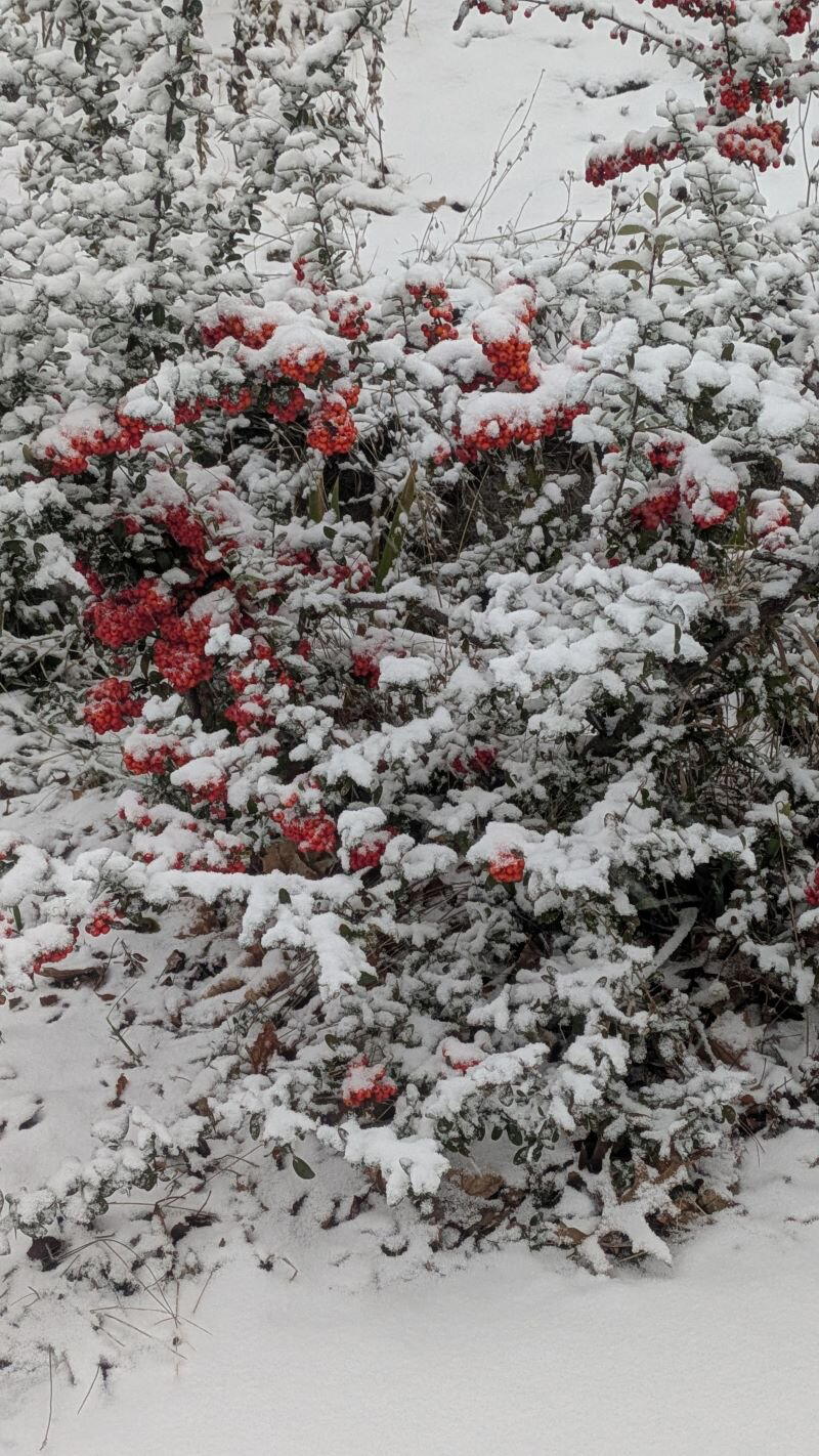 Открываем календарь...
