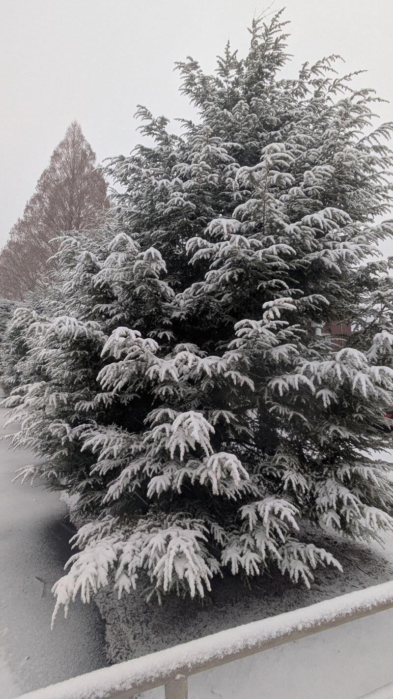 Открываем календарь...