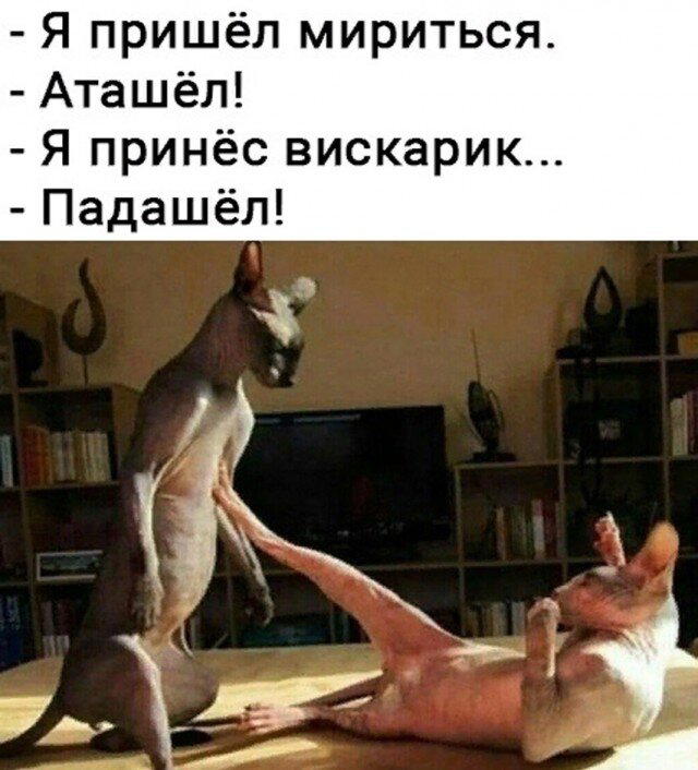 По тихоньку малыми дозами начинаем дичить