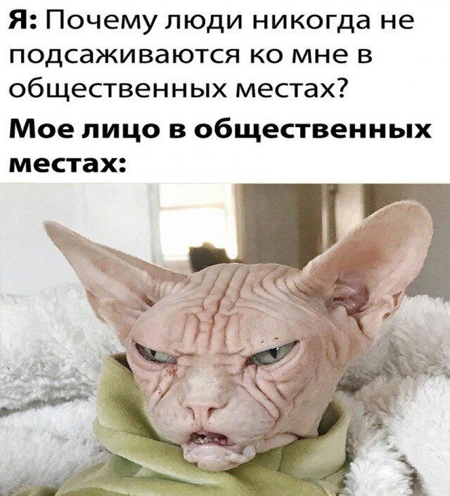 По тихоньку малыми дозами начинаем дичить