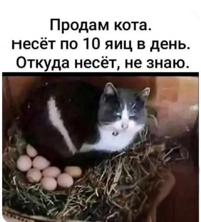 По тихоньку малыми дозами начинаем дичить