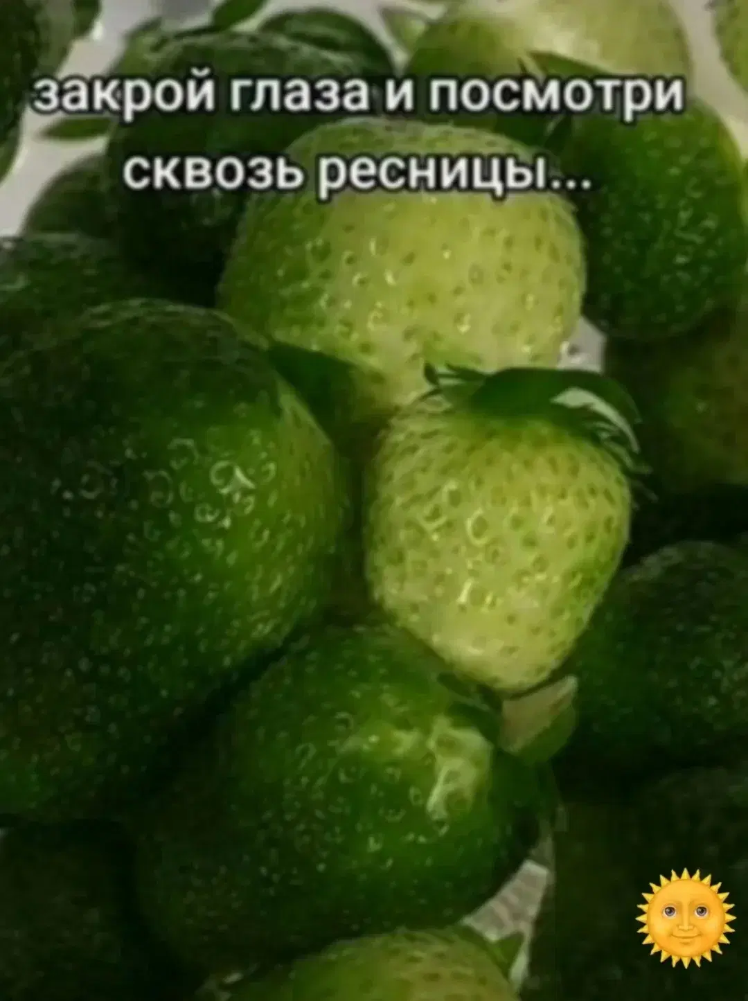 По тихоньку малыми дозами начинаем дичить