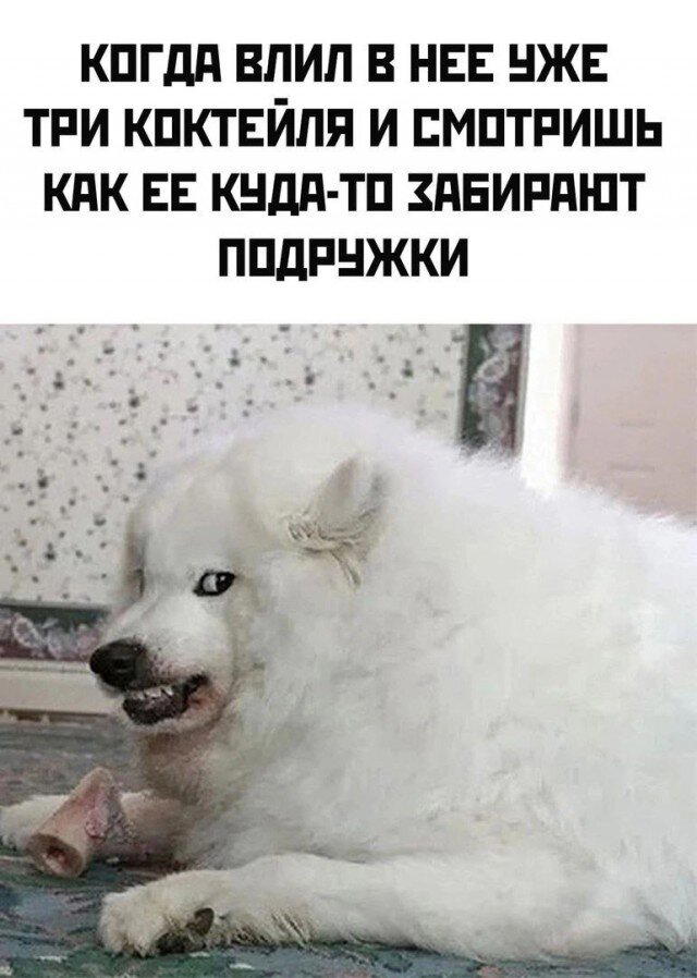 По тихоньку малыми дозами начинаем дичить