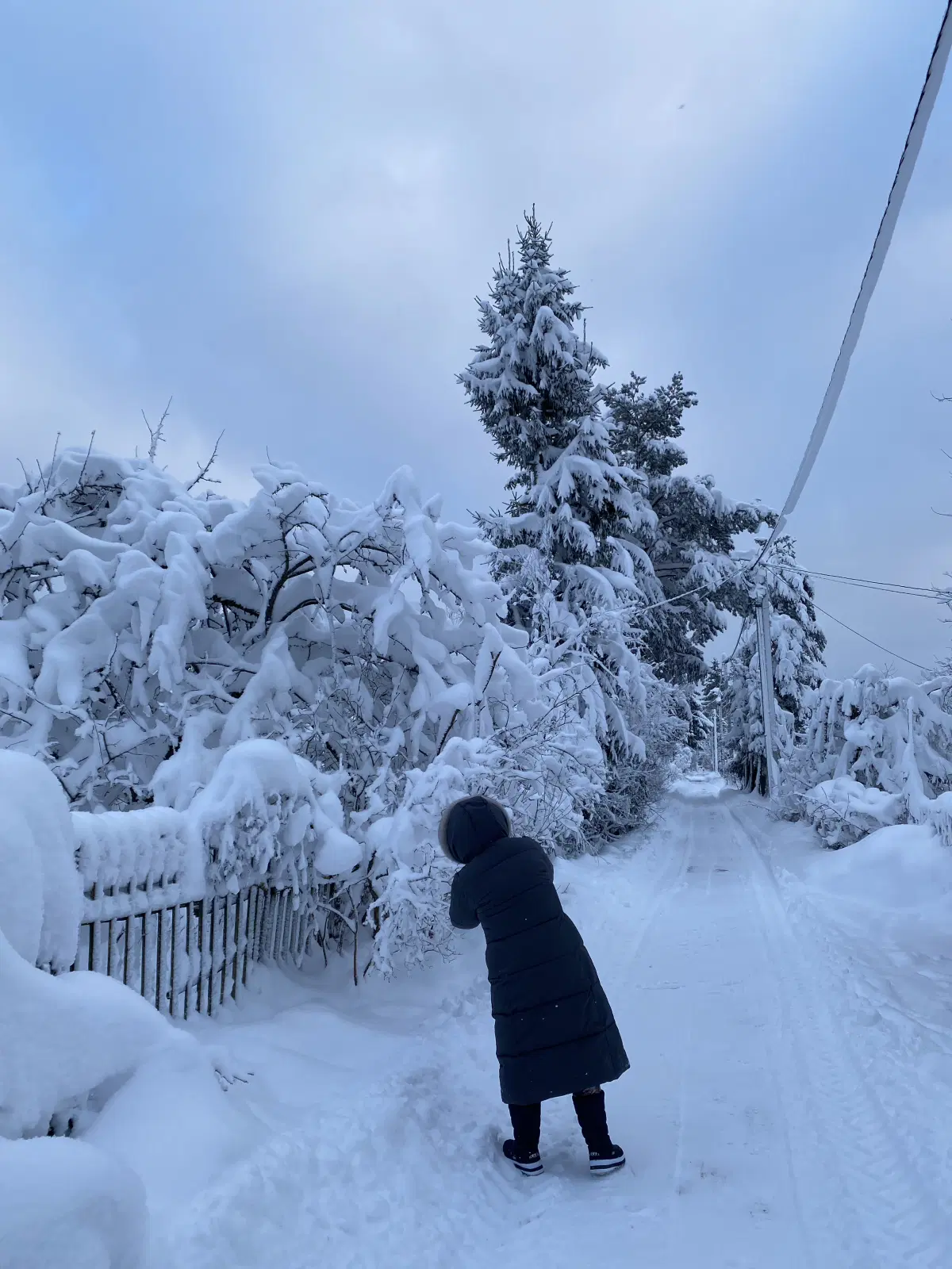 Улочки садоводства.