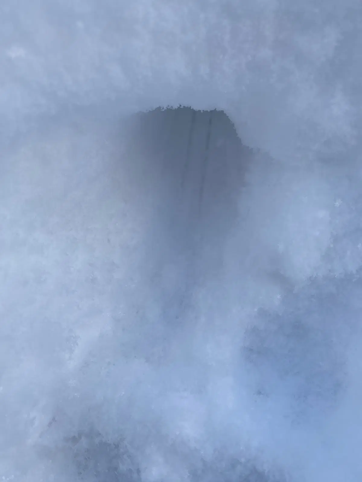 А это на мамином огороде какие-то гномы прятали в снежную пещеру свои волшебные сани...