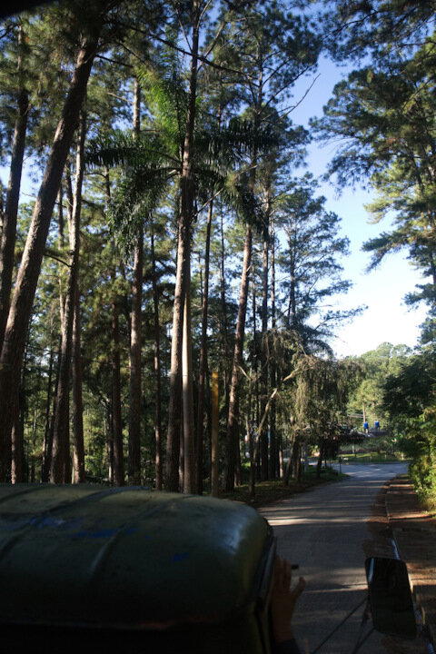 The Rolling Stones — Jumpin' Jack Flash / Куба'2025 (7.3)