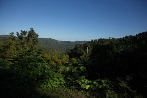 The Rolling Stones — Jumpin' Jack Flash / Куба'2025 (7.3)