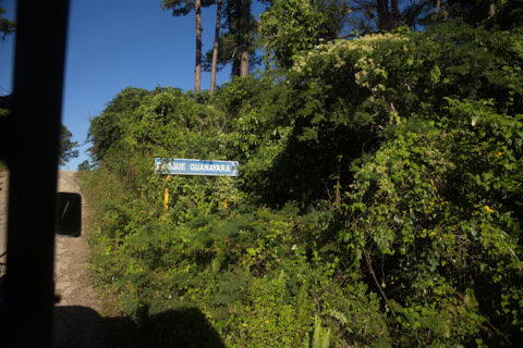 The Rolling Stones — Jumpin' Jack Flash / Куба'2025 (7.3)