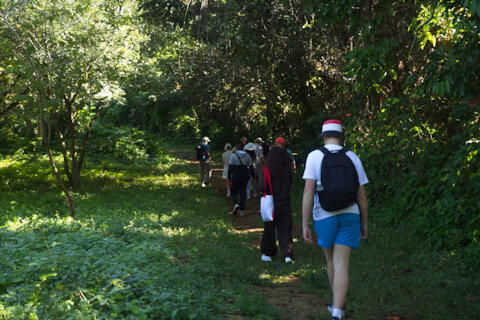 Гуляли по экотропе через что-то вроде плантации-бот.сада. Кофе, бананы, плоды с цианидом (которые так любила А.Кристи), много чего ещё.