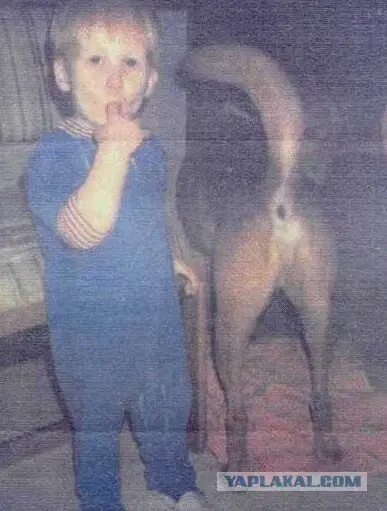 Дичка на третье