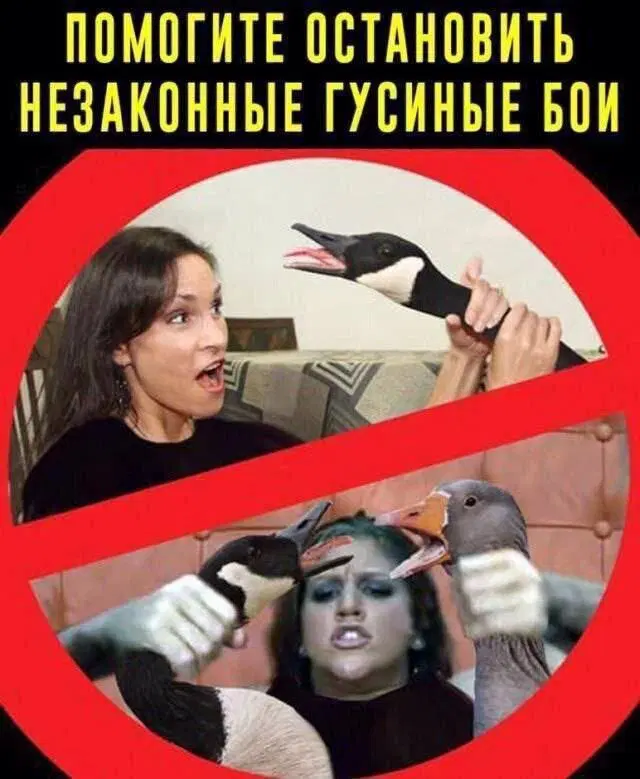 Дичка на третье
