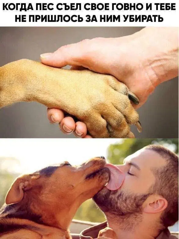 Дичка на третье