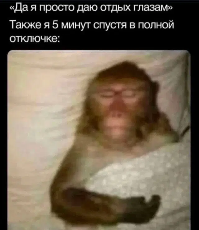 Дичко к столу прошу