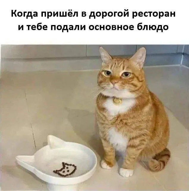 Дичко к столу прошу