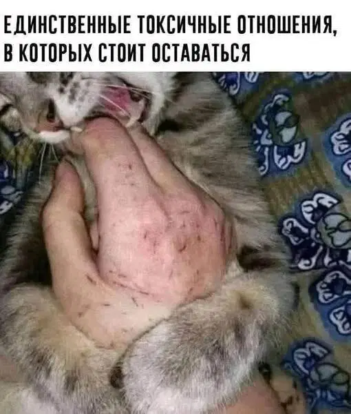 Дичко к столу прошу