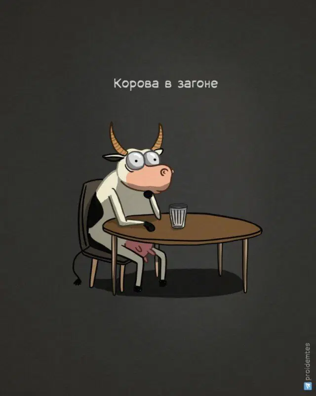 Дичко к столу прошу