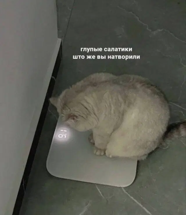 Дички на воскресенье на удивленье