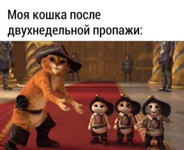 Дички на воскресенье на удивленье