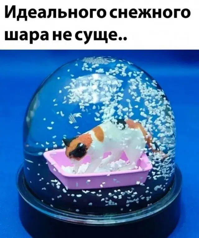 Дички на воскресенье на удивленье