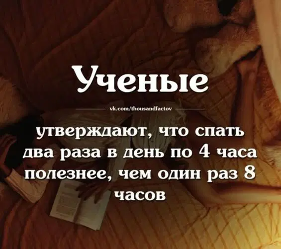 Дички на воскресенье на удивленье