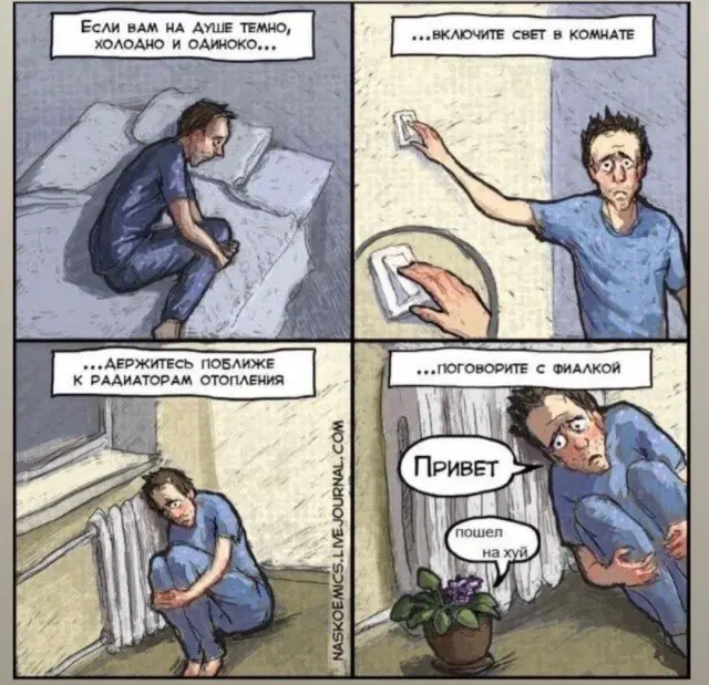 Дички на воскресенье на удивленье