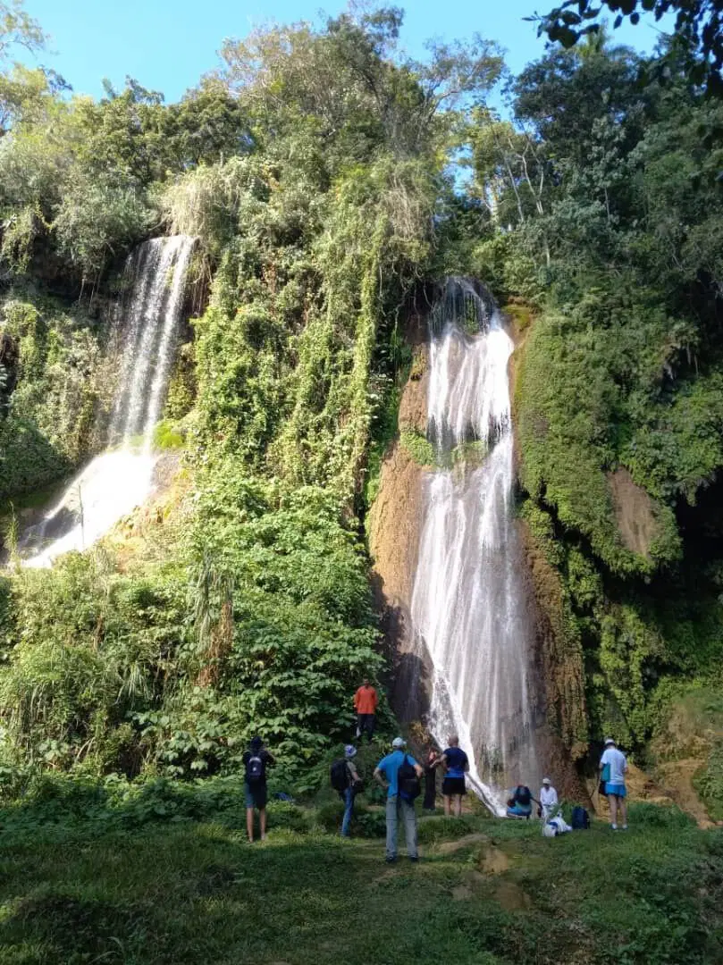 Вон я стою по левую руку от голубой футболки
