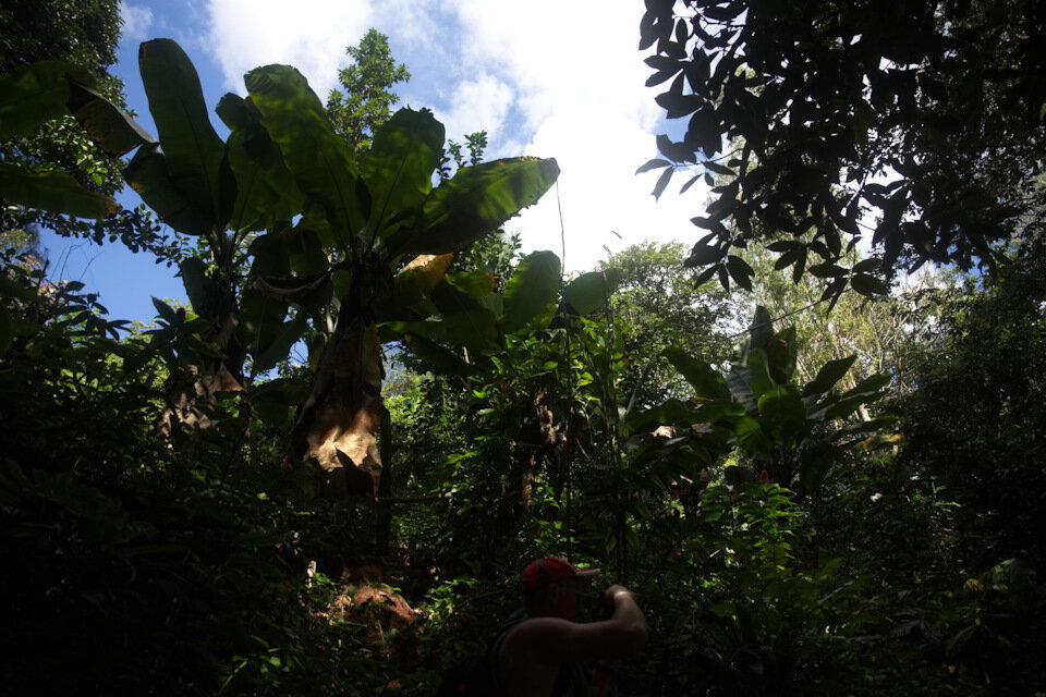 The Rolling Stones — Jumpin' Jack Flash / Куба'2025 (7.4)