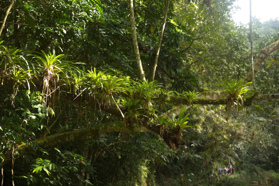 The Rolling Stones — Jumpin' Jack Flash / Куба'2025 (7.4)