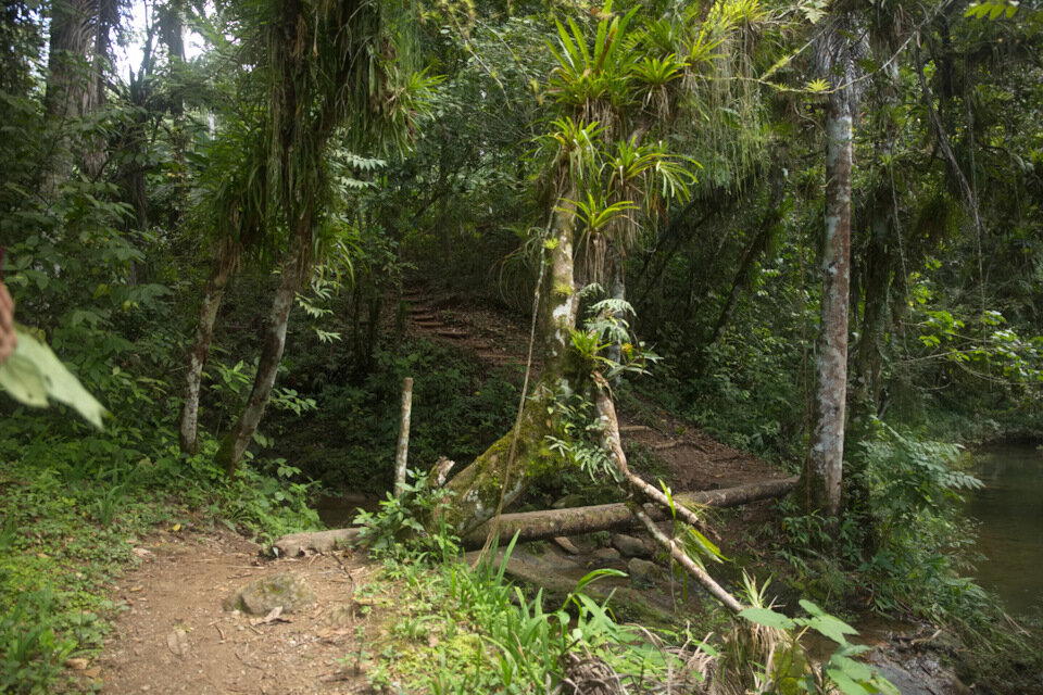 The Rolling Stones — Jumpin' Jack Flash / Куба'2025 (7.4)