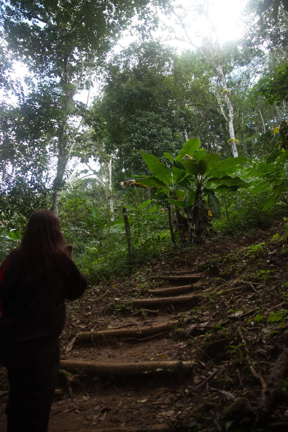 The Rolling Stones — Jumpin' Jack Flash / Куба'2025 (7.4)