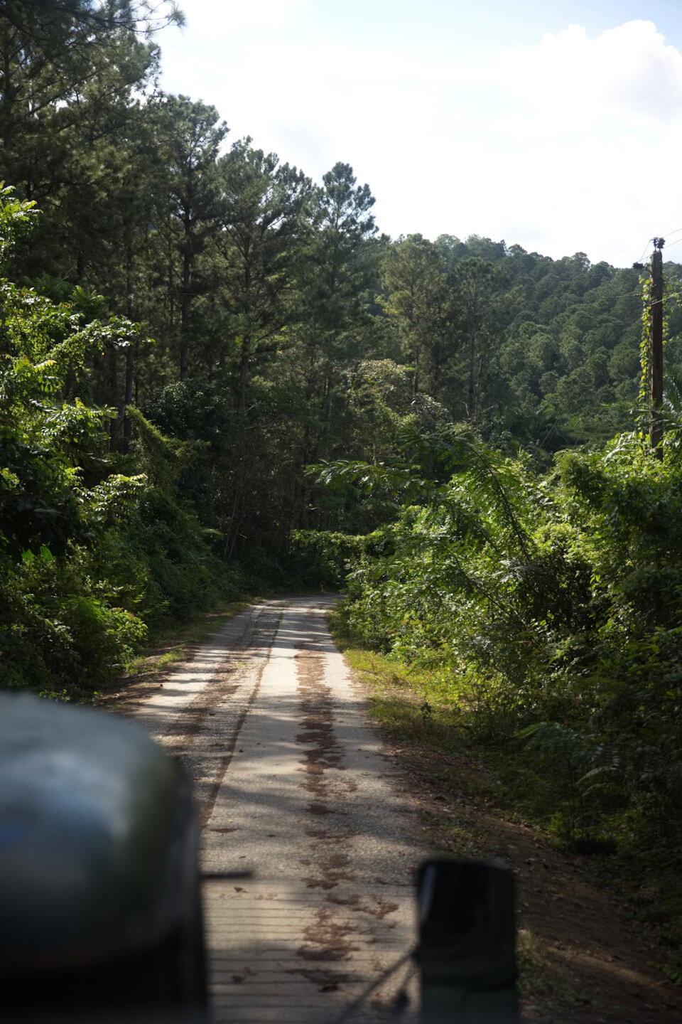 Полагаю, потратились они на твёрдое покрытие даже самых захолустных дорог потому что в случае дождя по ним непокрытым не проехать, и размоет в миг.