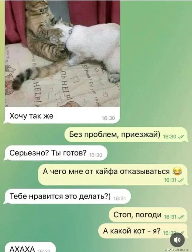 Дичь как наполнение выходных