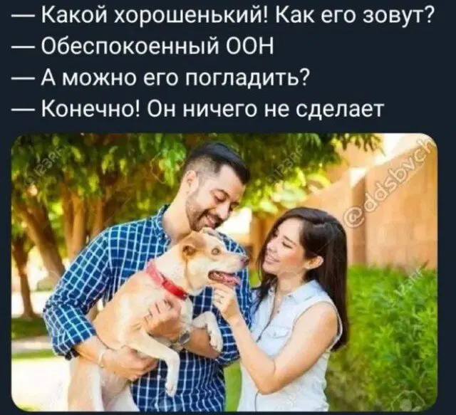 Дичь как наполнение выходных