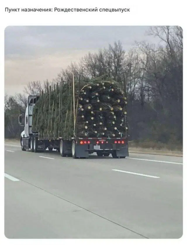 Дичь как наполнение выходных