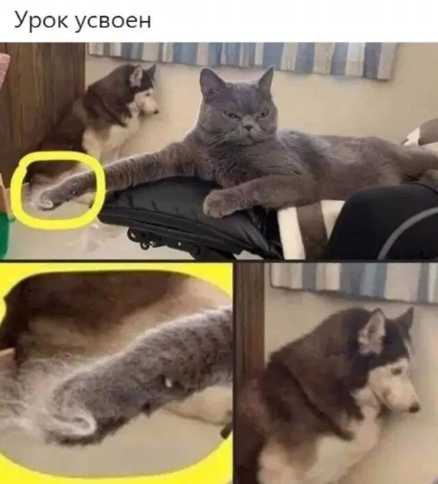 Дичь как наполнение выходных