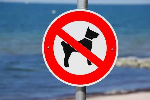 Если разбогатею, обязательно поеду на Мальдивы. И вот почему..