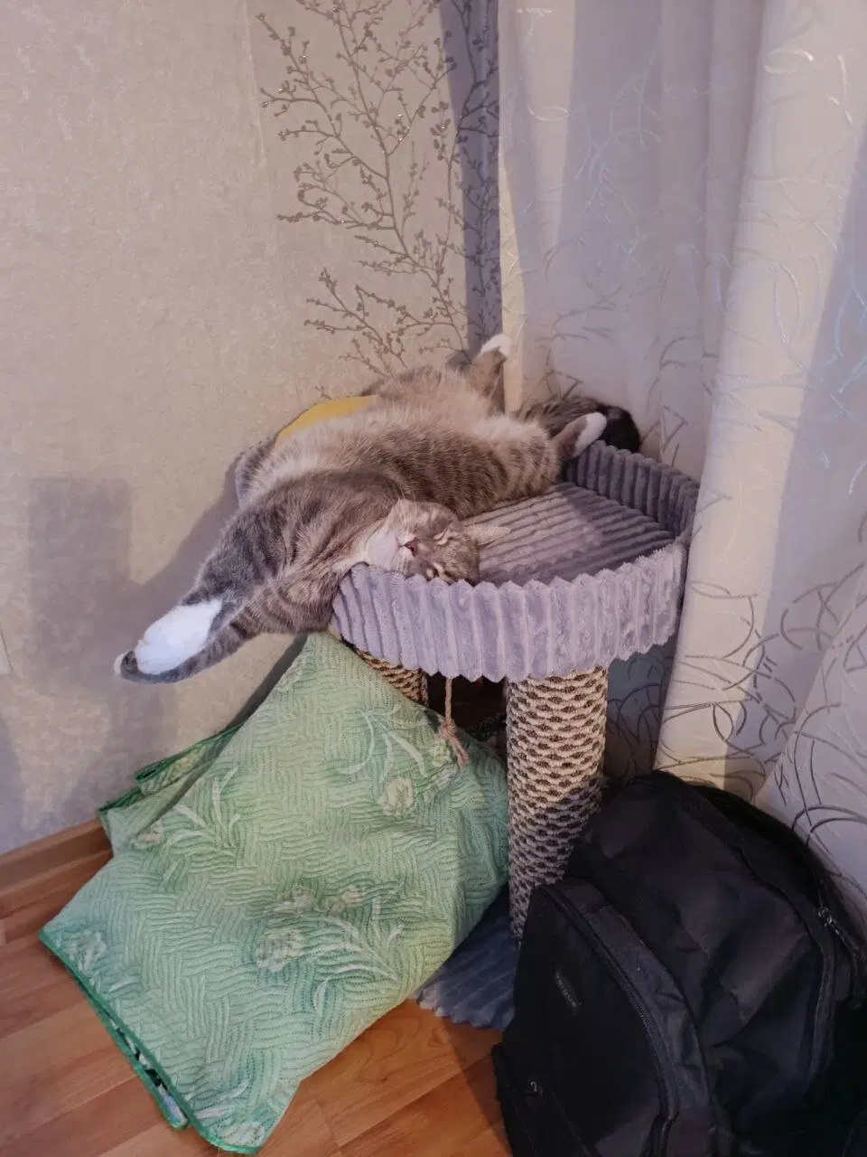 Просто ему так удобно