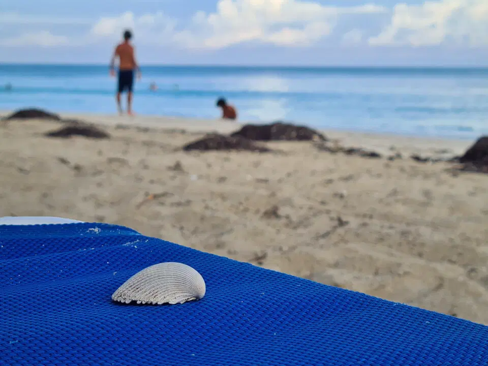 The Rolling Stones — Jumpin' Jack Flash / Куба'2025 (8)