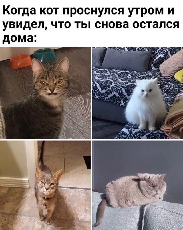 Скучно без дички