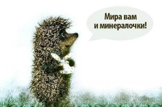 Скучно без дички