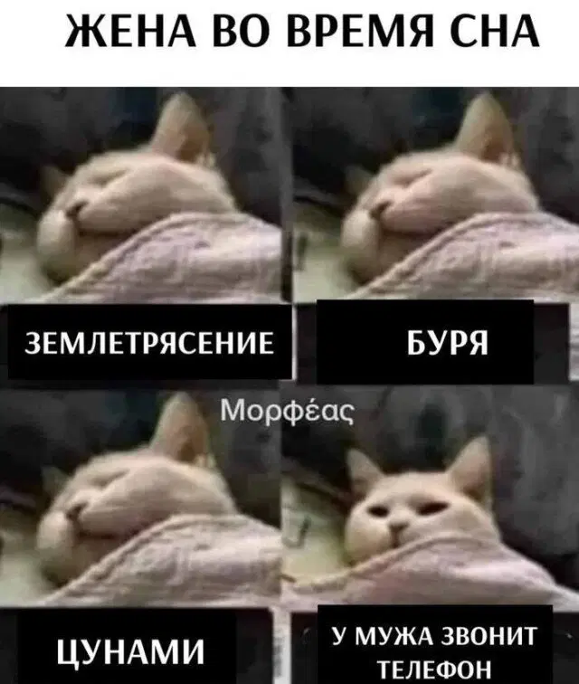 Скучно без дички