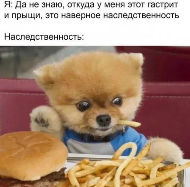 Скучно без дички