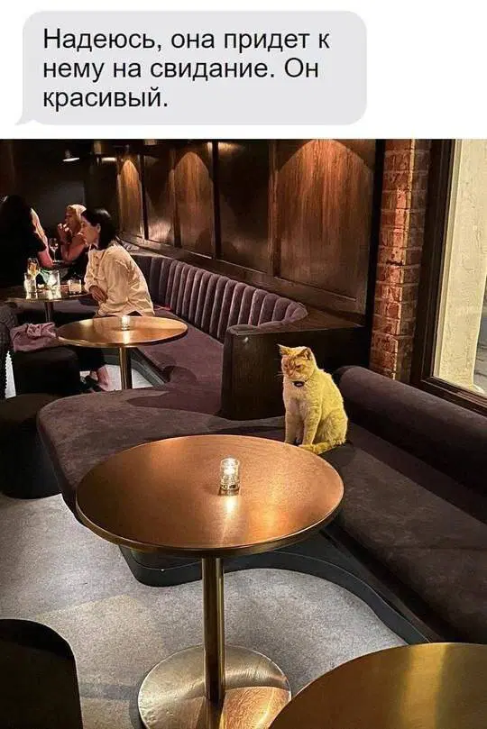 Скучно без дички