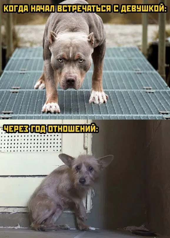 Скучно без дички