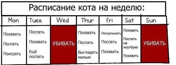 Ласковый убийца