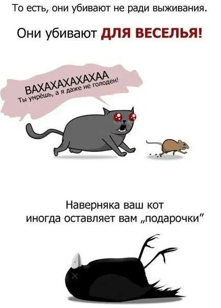 Ласковый убийца