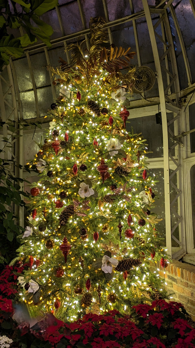 Когда ещё хочется немного волшебства