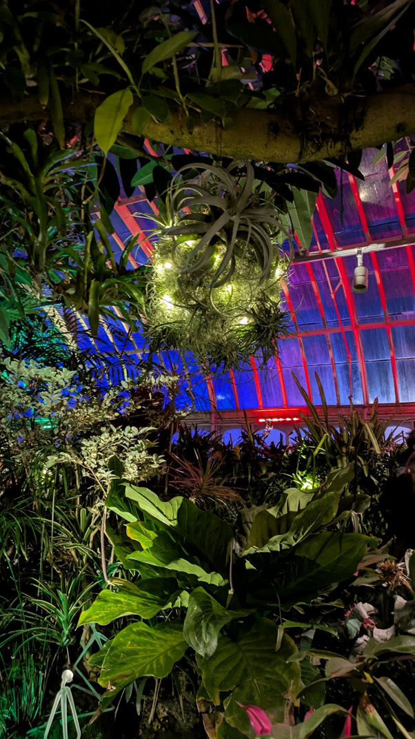 Когда ещё хочется немного волшебства