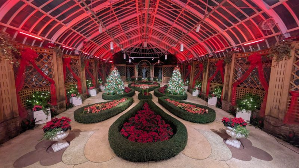 Когда ещё хочется немного волшебства