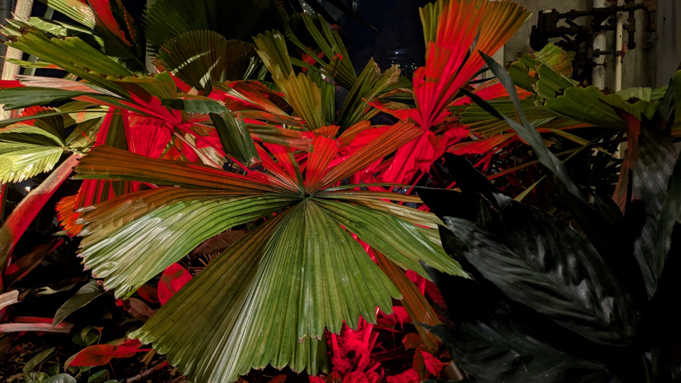 Когда ещё хочется немного волшебства